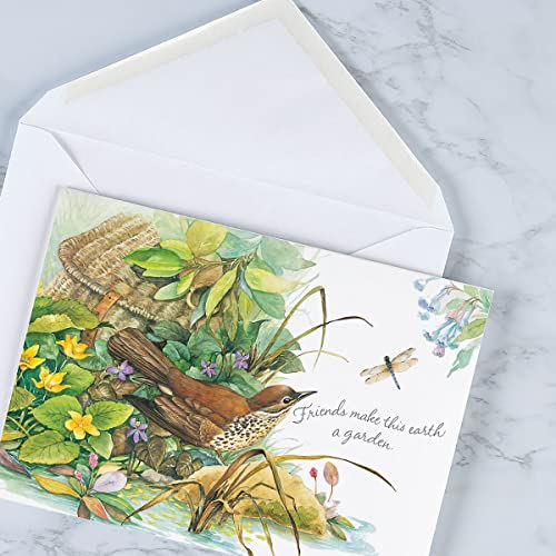 20-Pack Thinking of You Greeting Card Set