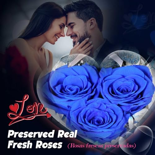 Preserved Rose & Necklace Gift SetPreserved Rose & Necklace Gift Set