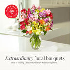 24-Stem Multicolored Alstroemeria Bouquet