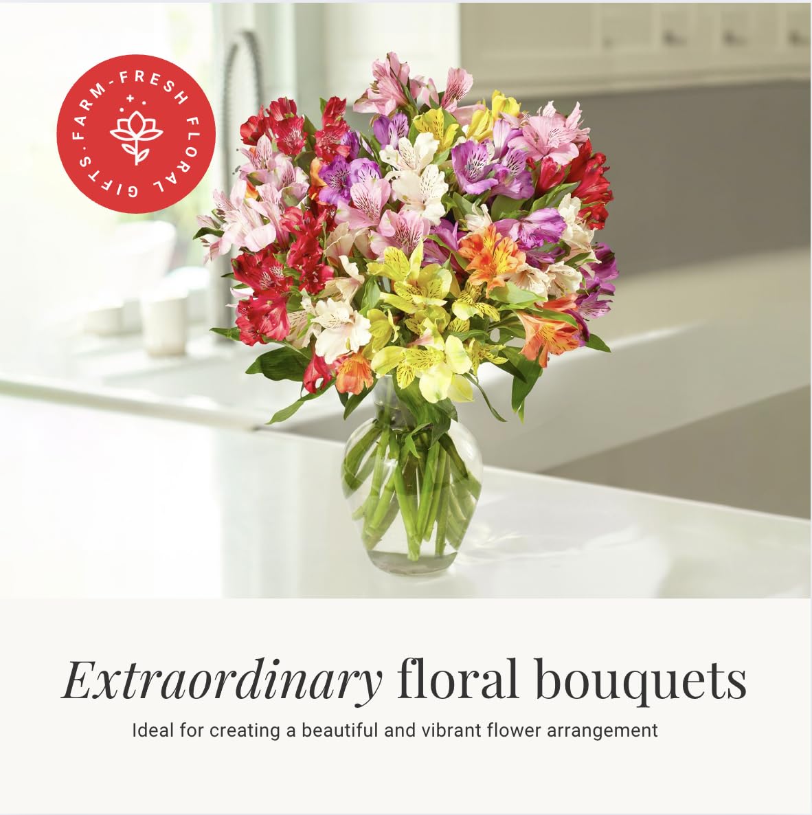 24-Stem Multicolored Alstroemeria Bouquet