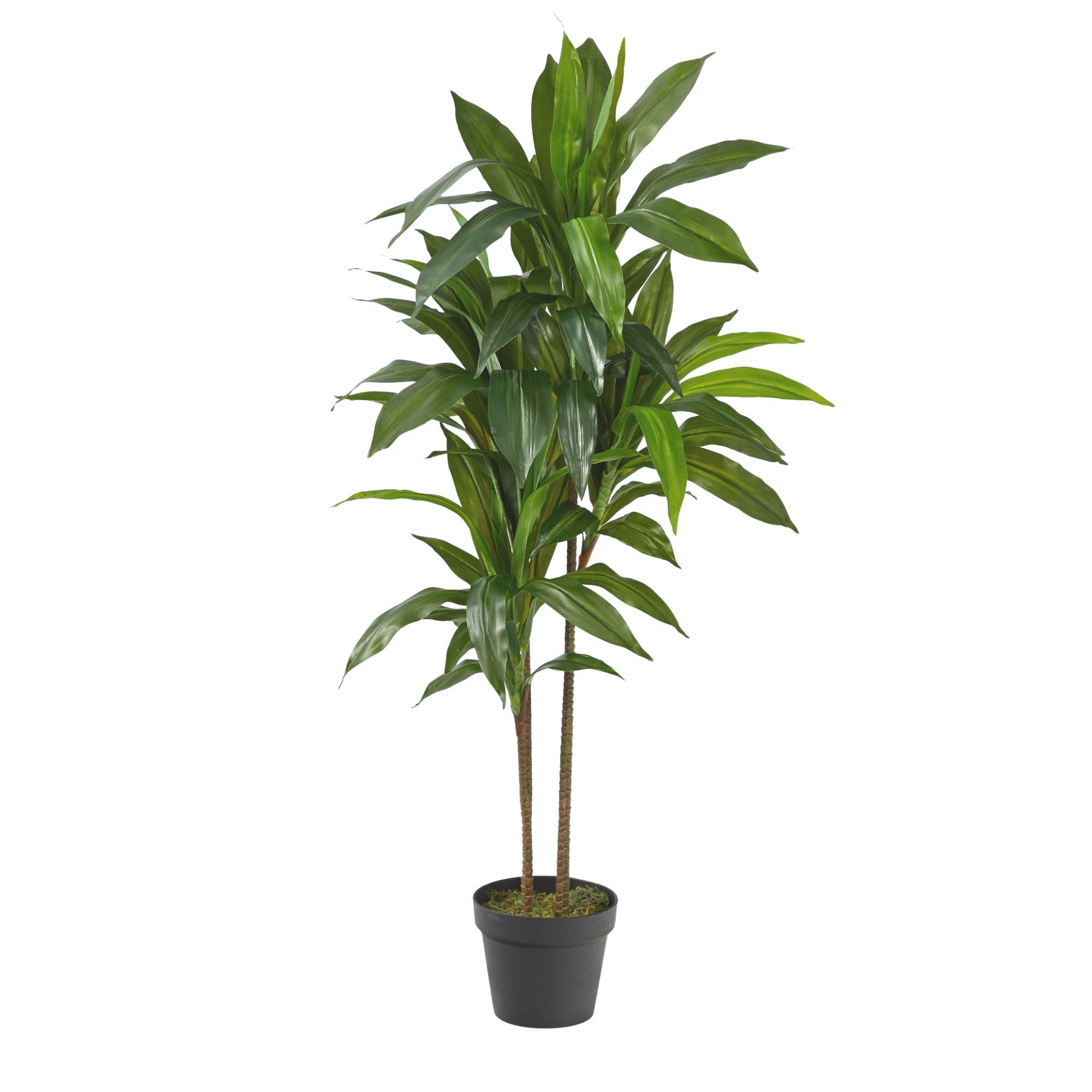 Nearly Natural 6585 Dracaena Decorative Silk Plant, 48-Inch, Green