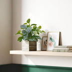 2-Pack Artificial Indoor Plants with Wooden Planters