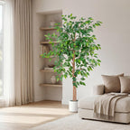 Artificial Ficus Tree 5FT 6FT Tall