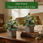 2-Pack Artificial Indoor Plants with Wooden Planters
