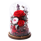 Preserved Rose in Glass Dome Gift Decor