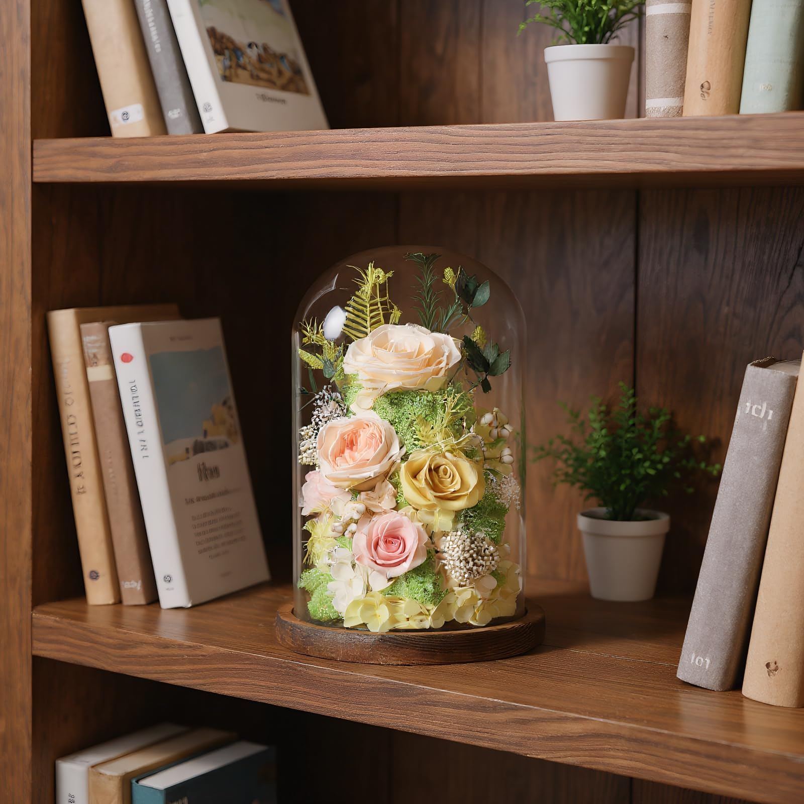 Preserved Rose in Glass Dome Gift Decor
