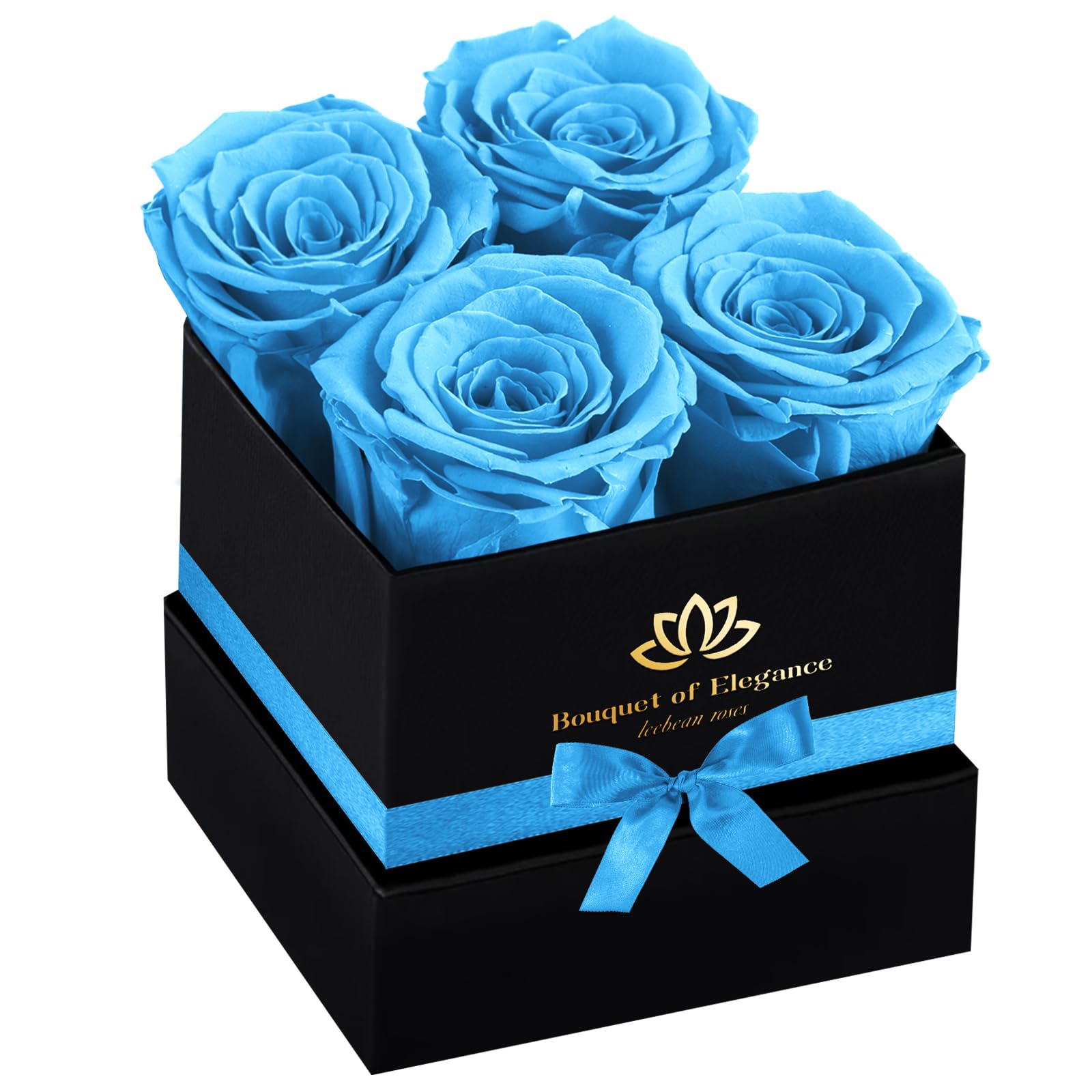 Leebean Forever Flowers Roses in A Box,Real Preserved Flowers,Preserved Roses,Preserved Flowers