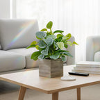 2-Pack Artificial Indoor Plants with Wooden Planters