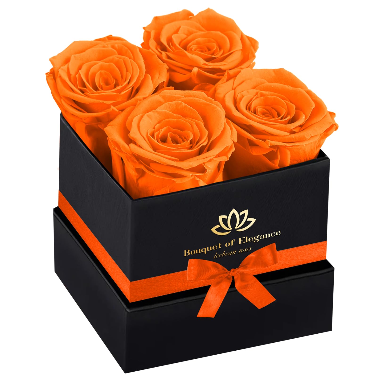 Leebean Forever Flowers Roses in A Box,Real Preserved Flowers,Preserved Roses,Preserved Flowers