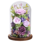 Preserved Rose in Glass Dome Gift Decor