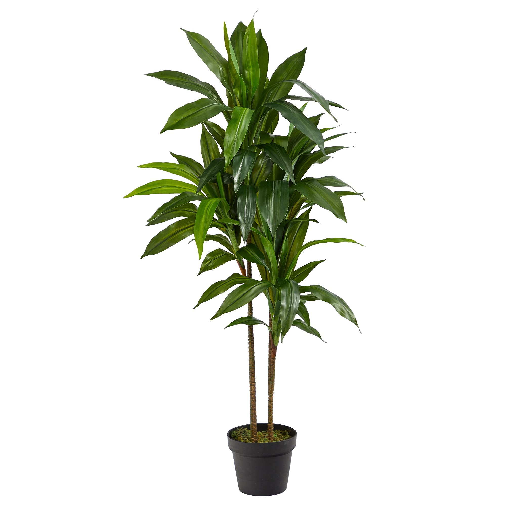 Nearly Natural 6585 Dracaena Decorative Silk Plant, 48-Inch, Green