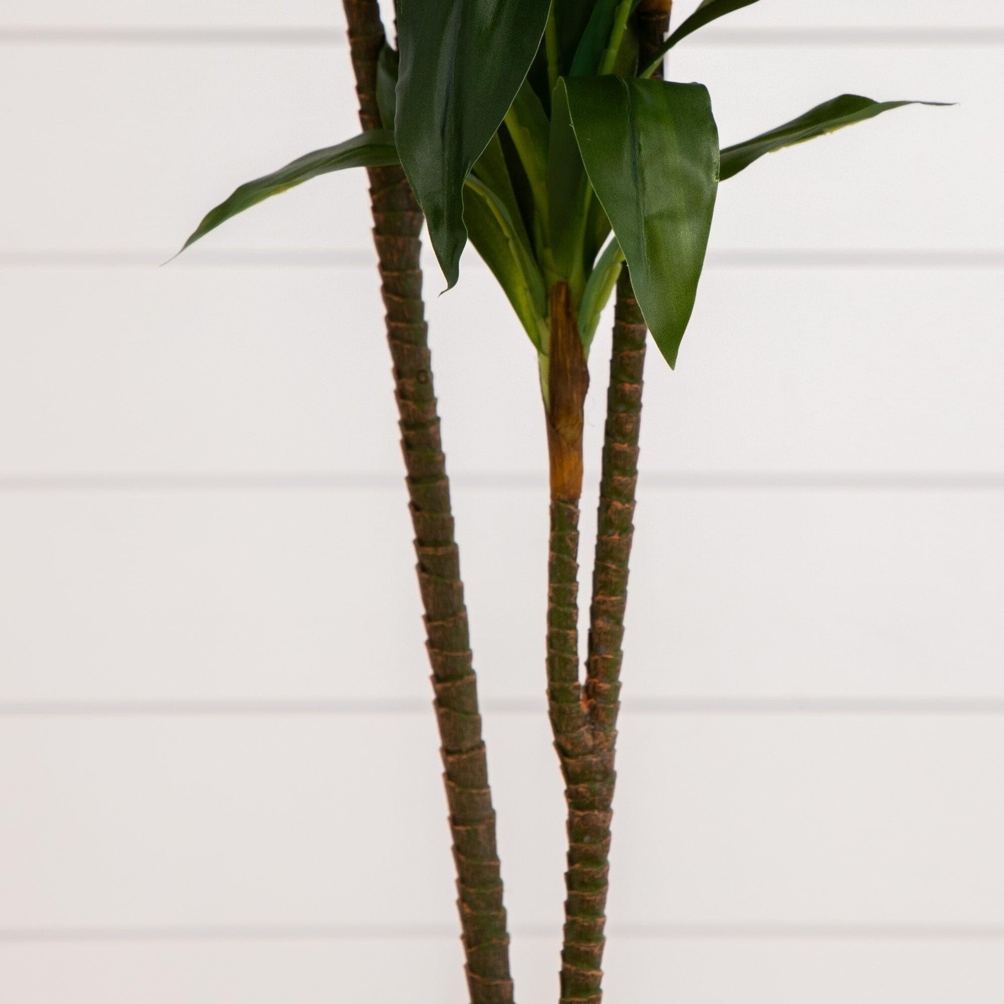 Nearly Natural 6585 Dracaena Decorative Silk Plant, 48-Inch, Green