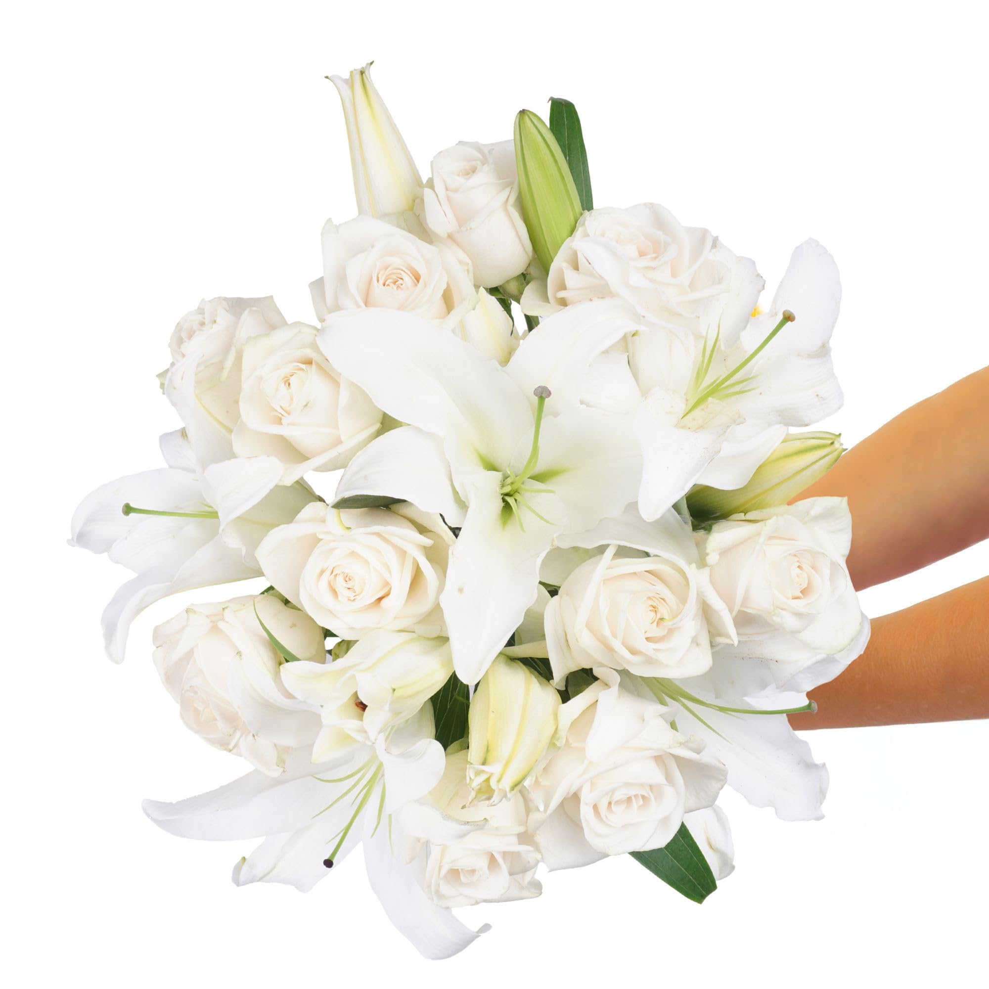 Lilies & Roses