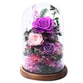 Preserved Rose in Glass Dome Gift Decor