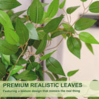 Artificial Ficus Tree 5FT 6FT Tall