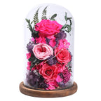 Preserved Rose in Glass Dome Gift Decor