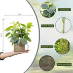 2-Pack Artificial Indoor Plants with Wooden Planters