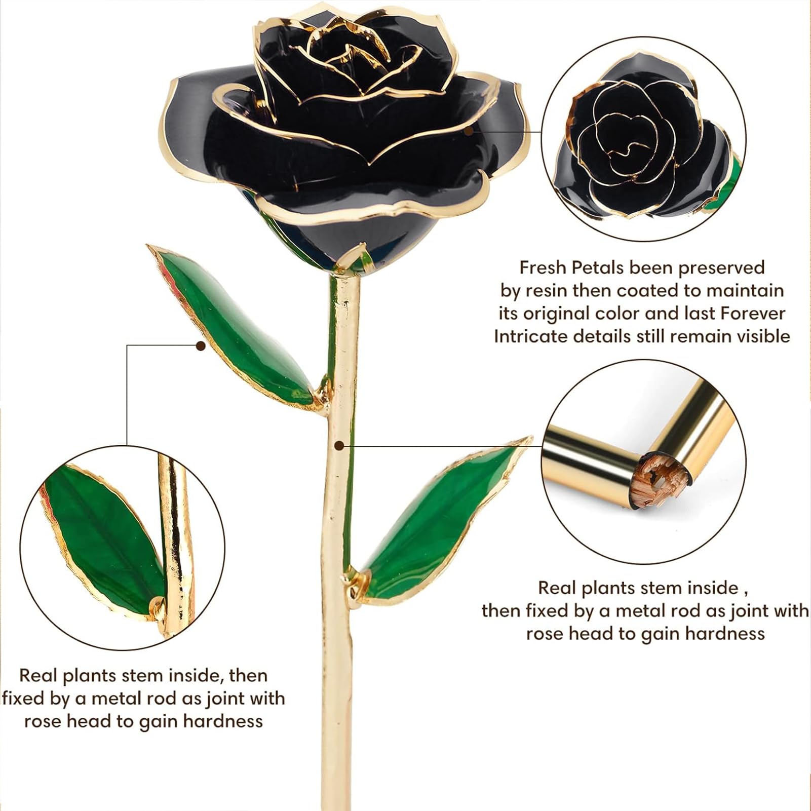 Gold Dipped Infinity Rose Decor Gift
