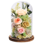 Preserved Rose in Glass Dome Gift Decor