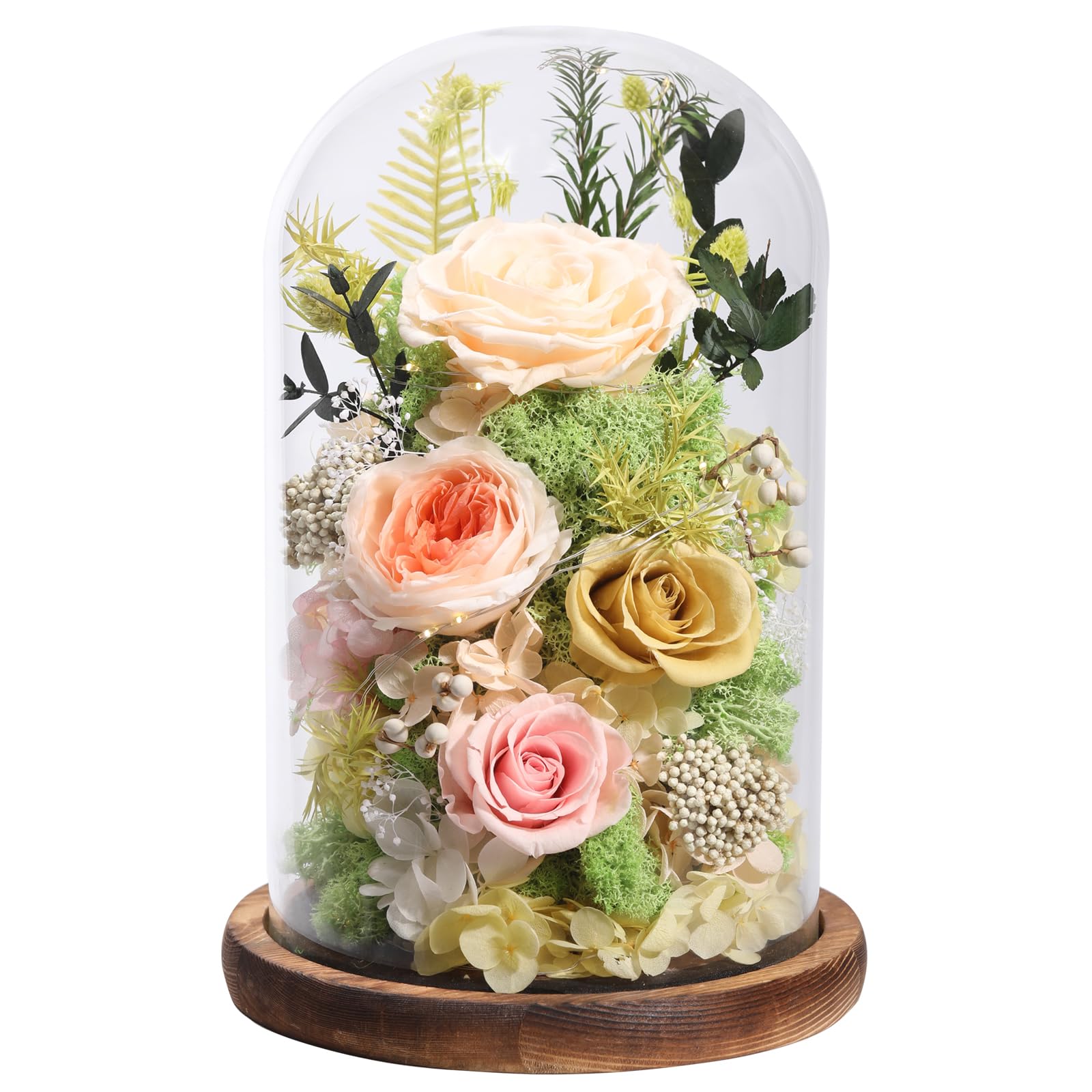 Preserved Rose in Glass Dome Gift Decor