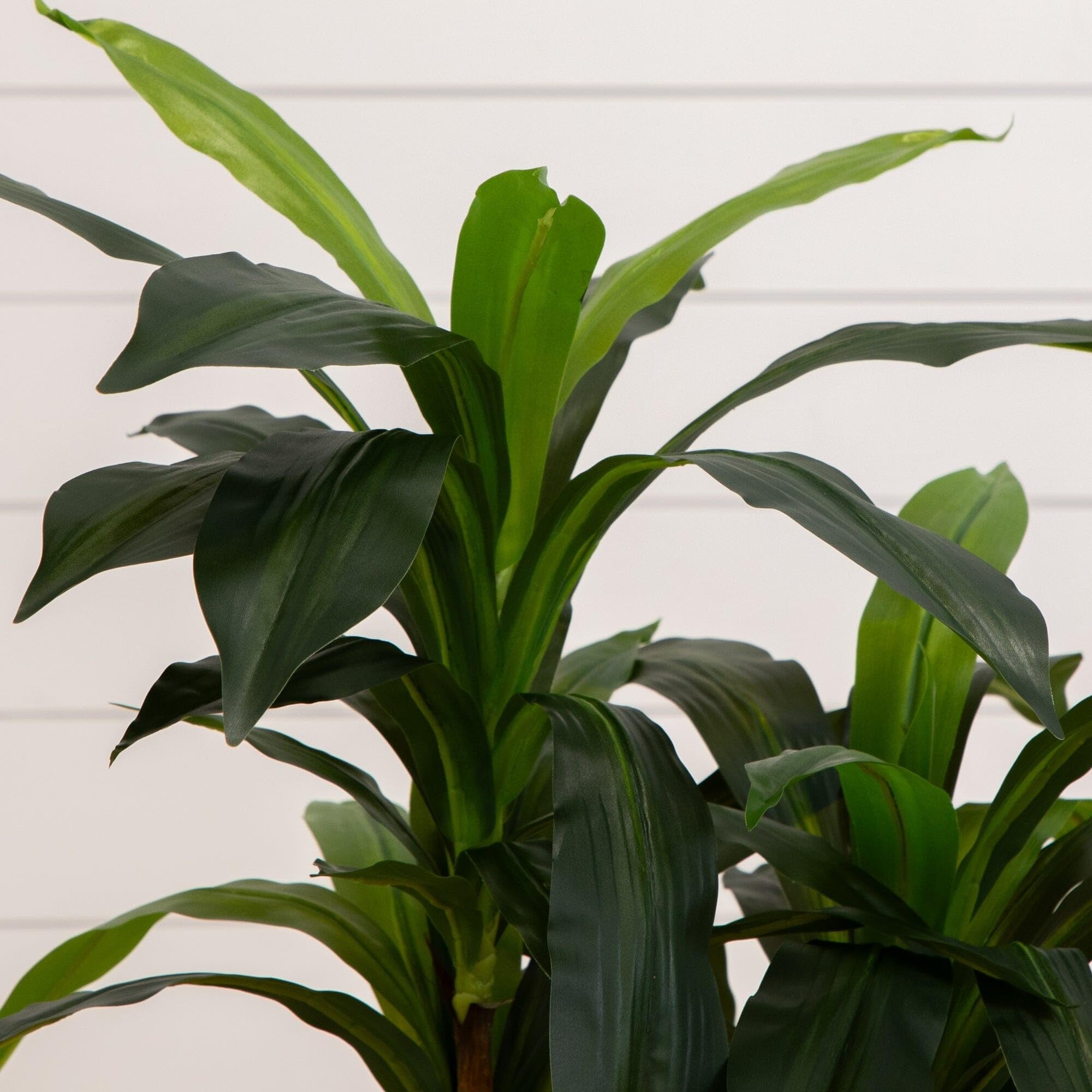 Nearly Natural 6585 Dracaena Decorative Silk Plant, 48-Inch, Green
