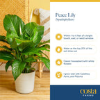 Costa Farms