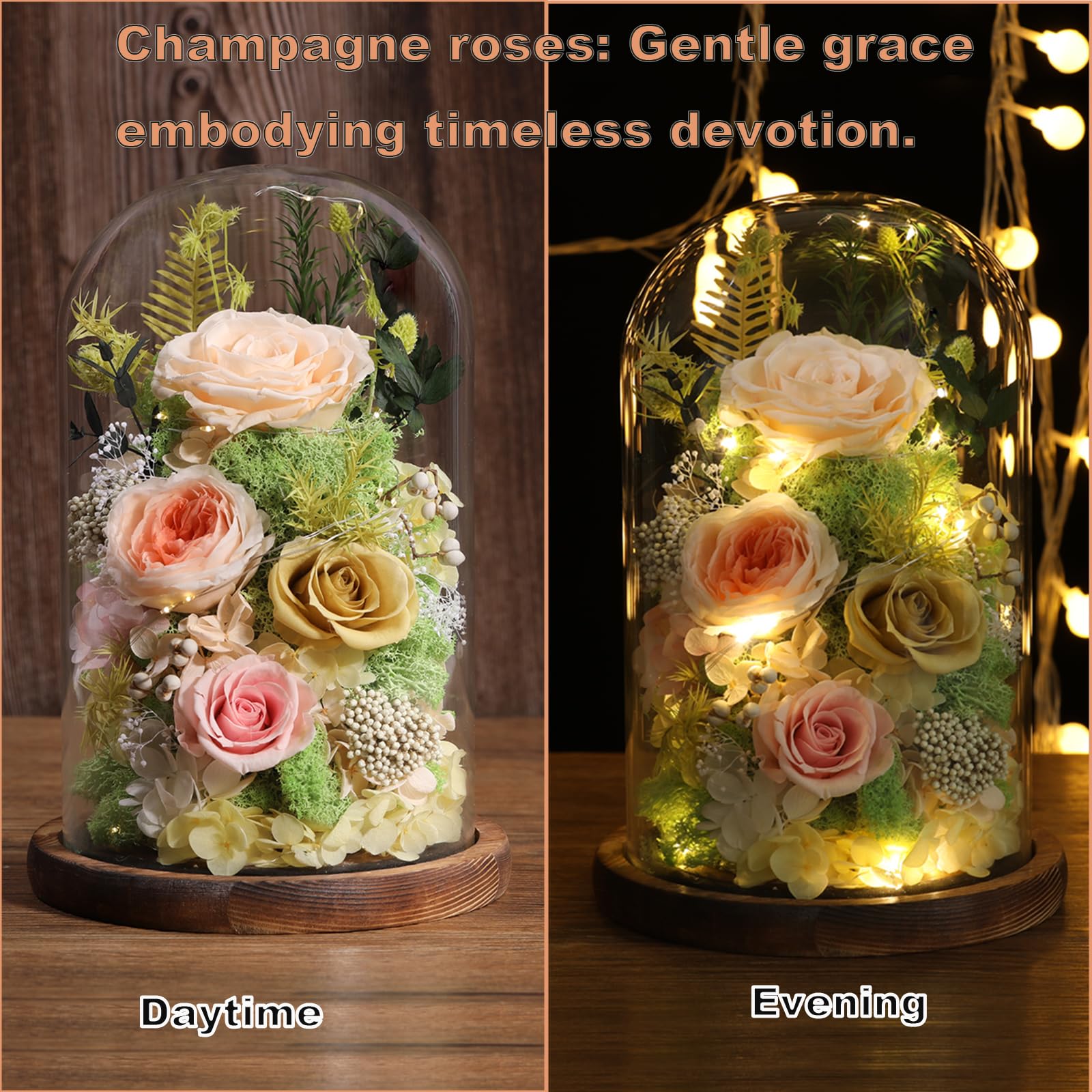 Preserved Rose in Glass Dome Gift Decor