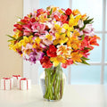 24-Stem Multicolored Alstroemeria Bouquet