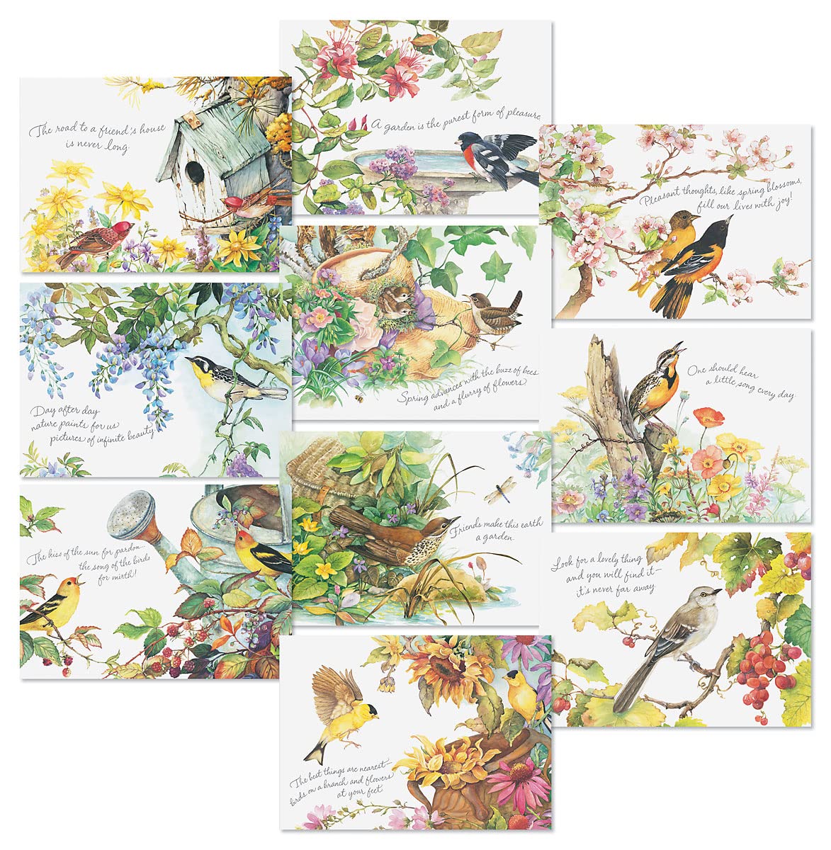 20-Pack Thinking of You Greeting Card Set
