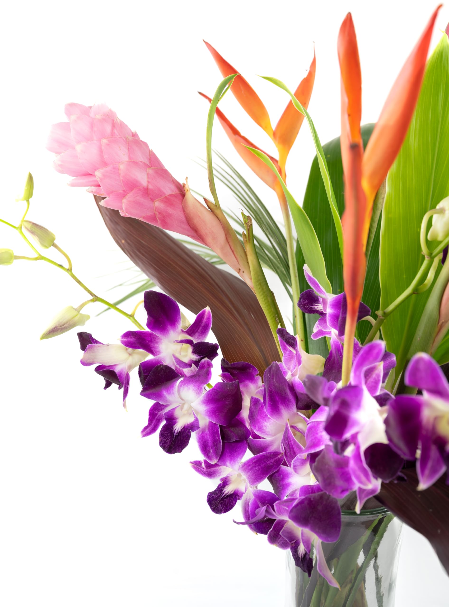 Tropical Orchid & Hawaiian Flower Bouquet