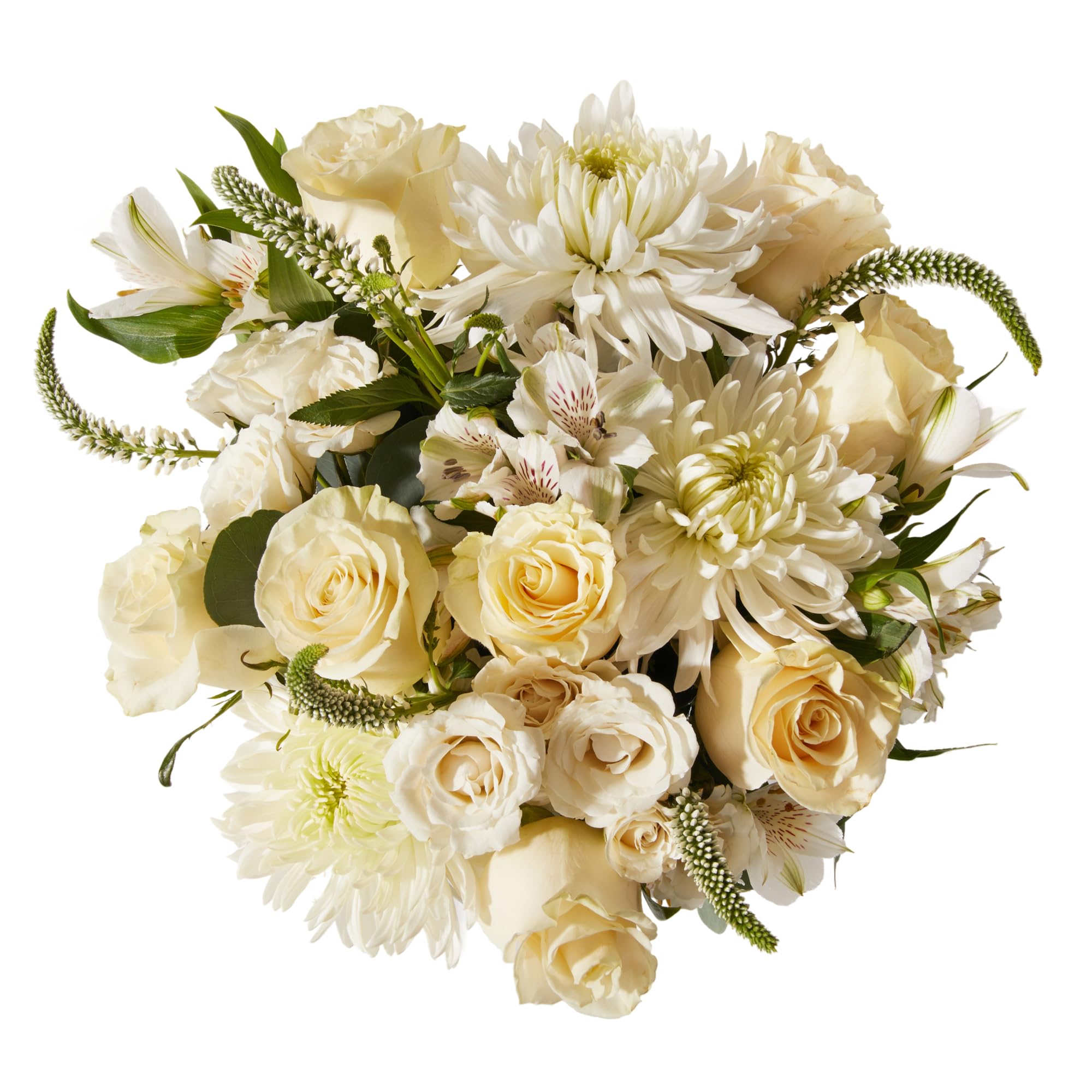 Fresh Dove Bouquet for Delivery
