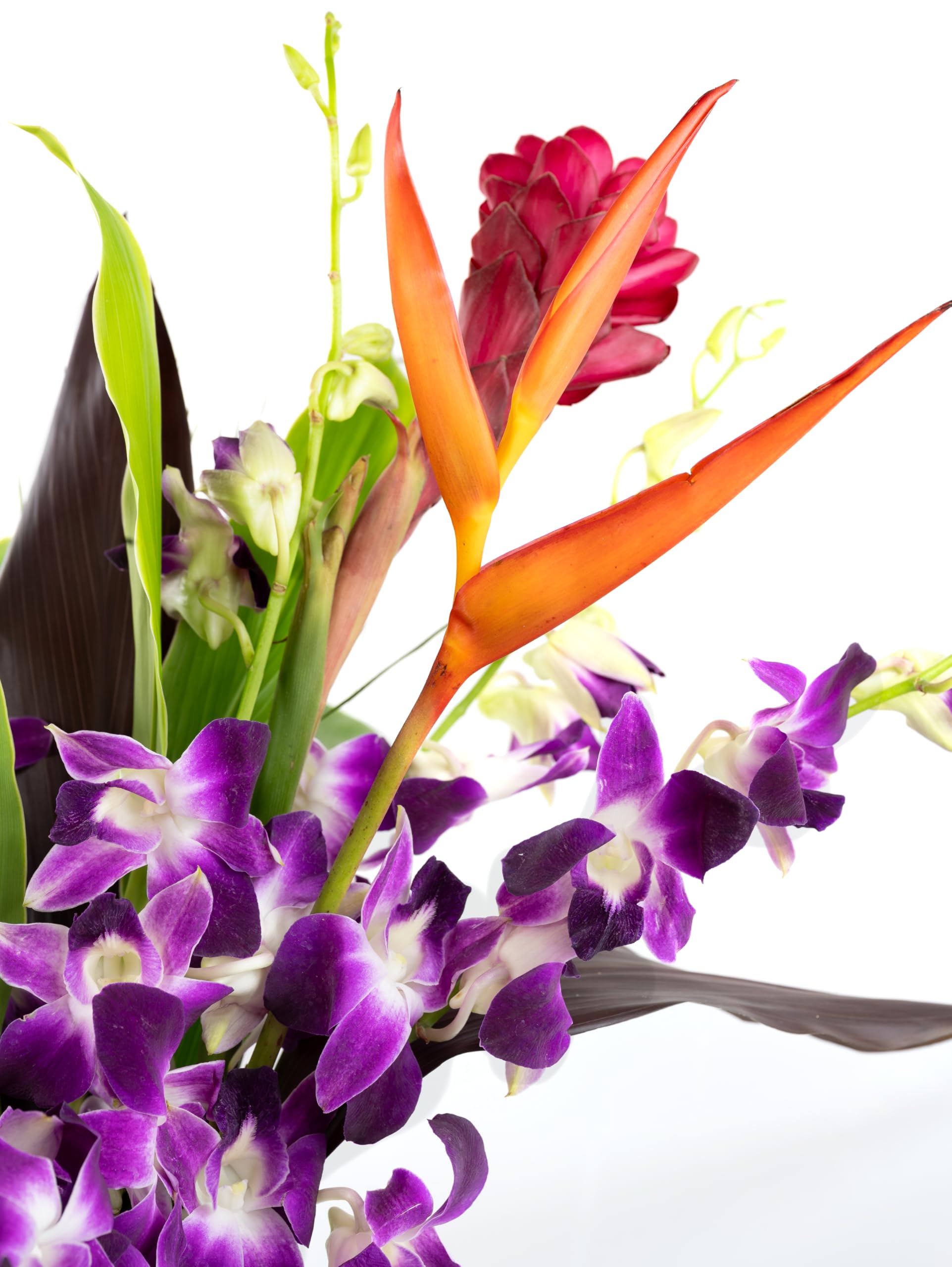 Tropical Orchid & Hawaiian Flower Bouquet