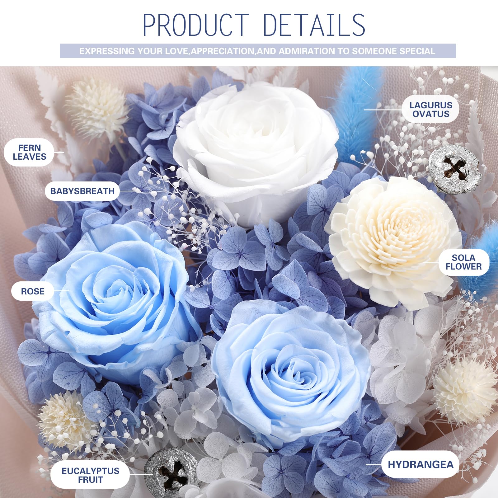 Preserved Rose Bouquet with Necklace Gift Set