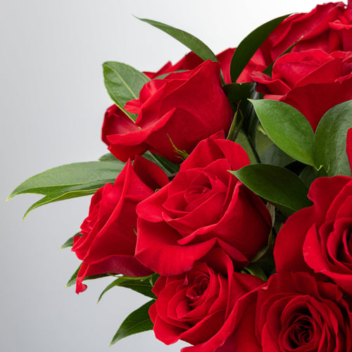 12 Stem Red Rose Bouquet with Glass Vase