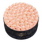 60-Piece Preserved Rose Box Gift