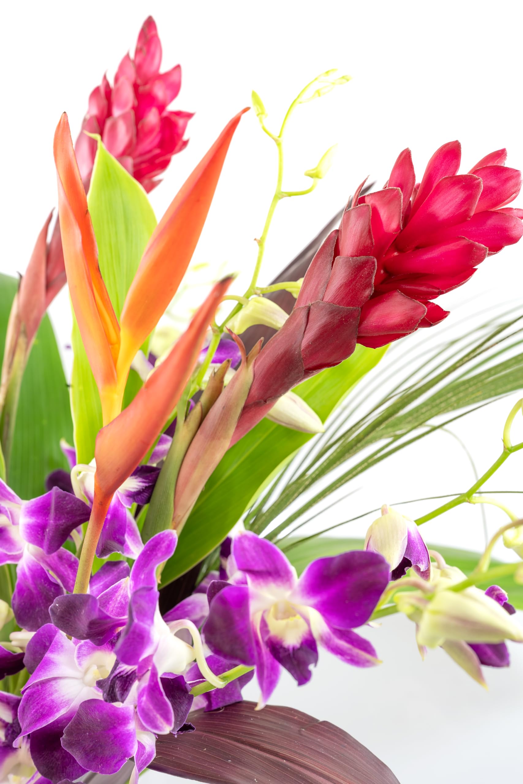 Tropical Orchid & Hawaiian Flower Bouquet