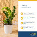 Costa Farms