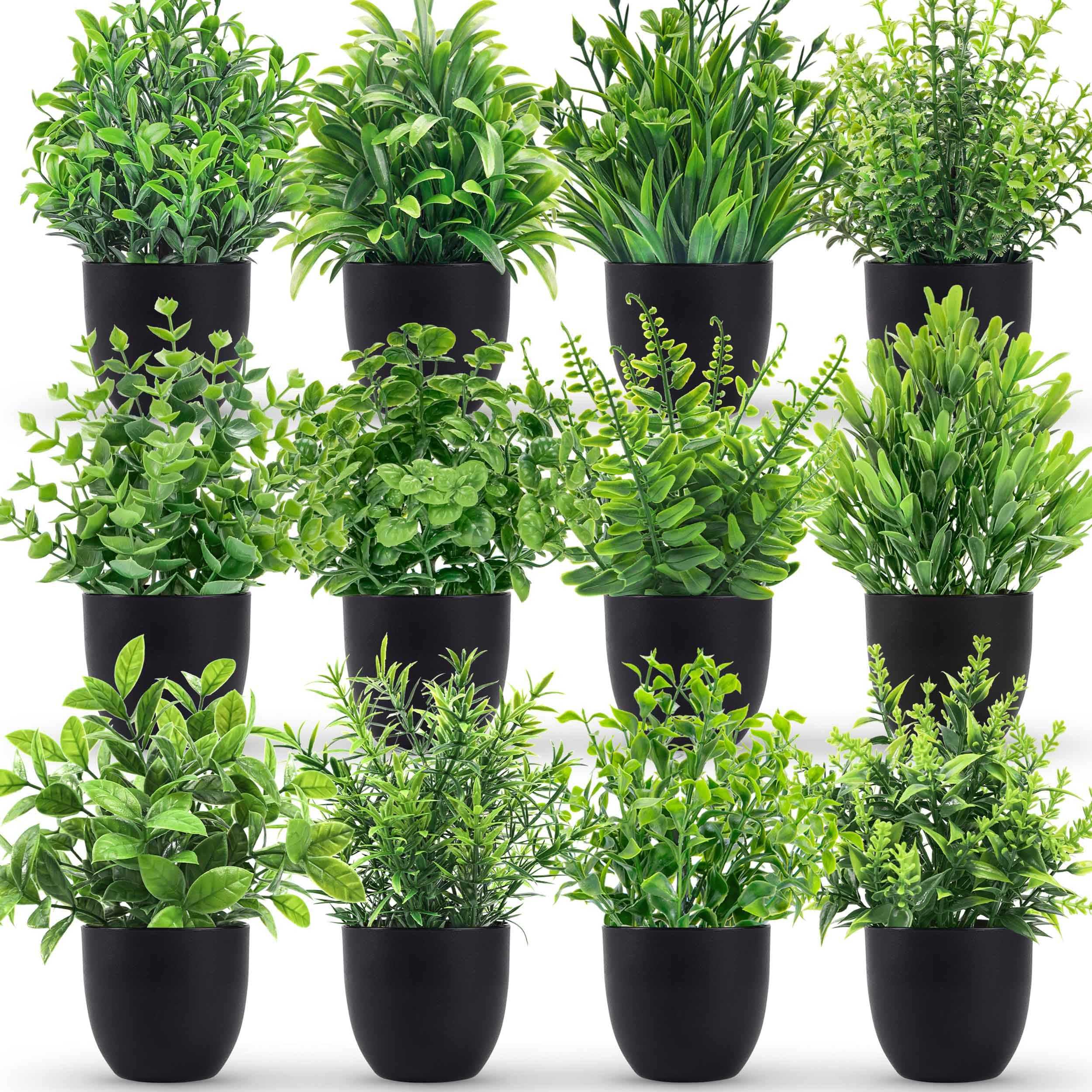 Der Rose Fake Artificial Plants Small Faux Black Bathroom Accessories for Home Decor
